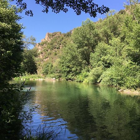 Rasigueres Coeur De Nature מראה חיצוני תמונה