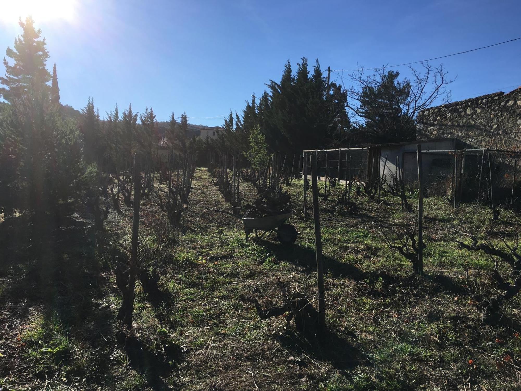 Rasigueres Coeur De Nature מראה חיצוני תמונה