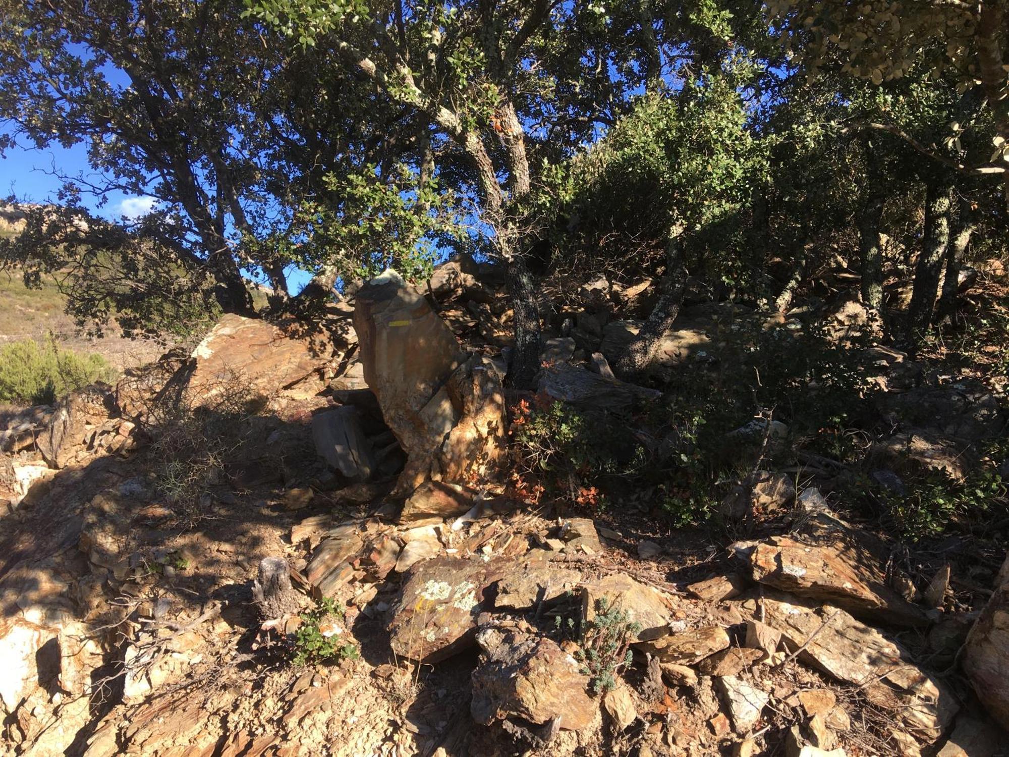 Rasigueres Coeur De Nature מראה חיצוני תמונה